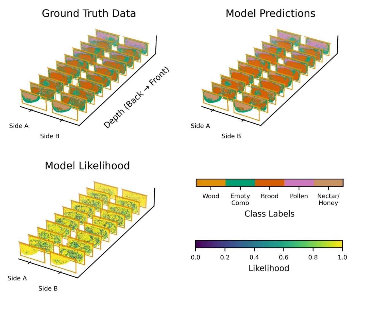 Three-dimensional honeybee nest maps comparing cell contents, model predictions, and prediction likelihood.