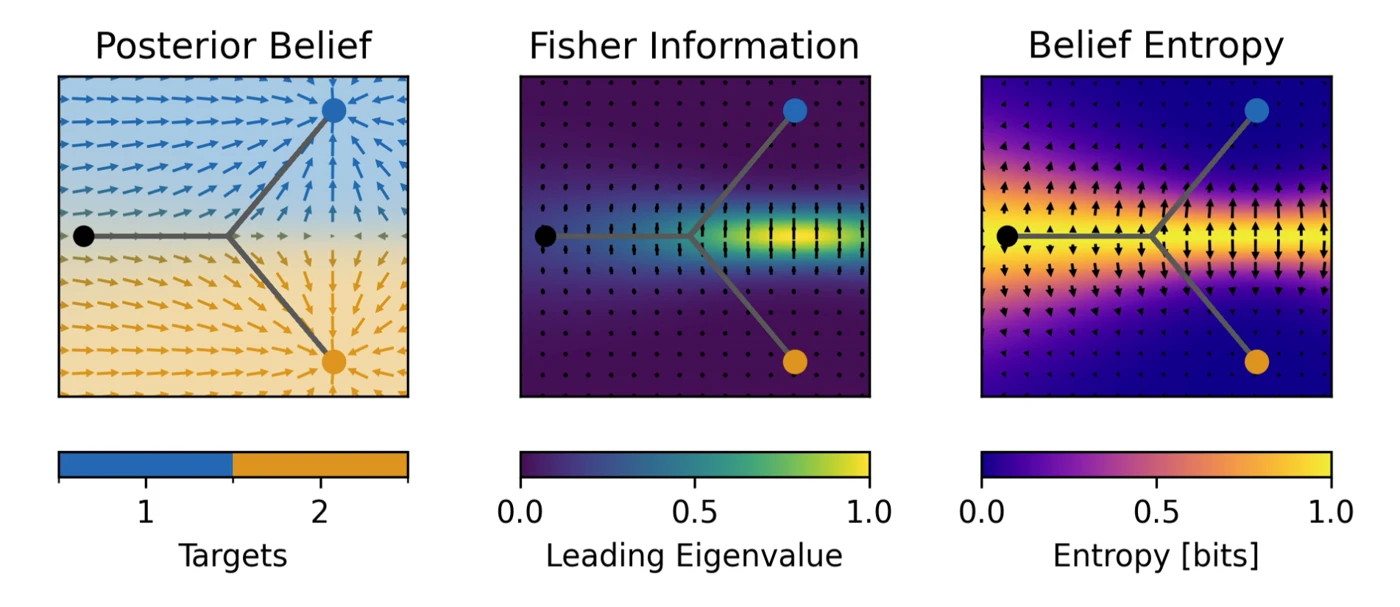Spatial decision model comparing posterior belief, Fisher information, and belief entropy around two alternative targets.